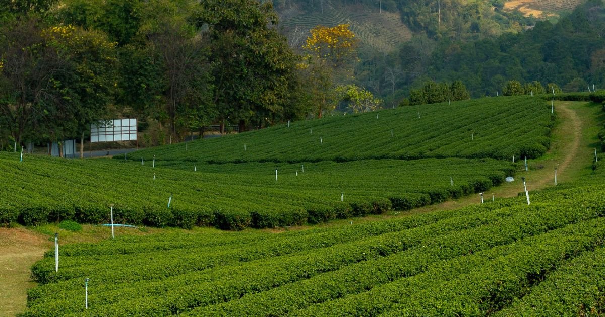 Southeast Asia Cycling Adventure: Embarking on the Journey of a Lifetime